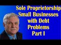 Sole Proprietorship Small Businesses with Debt Problems Part I