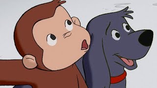 Color Me Monkey thumbnail