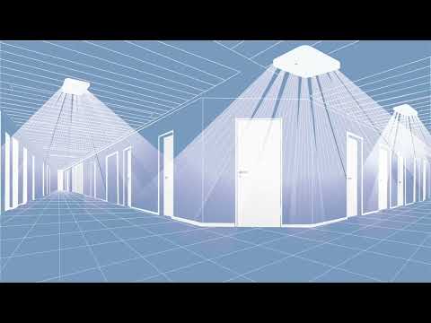 Illustration of an office hallway with multiple doorways and a grid of lines on the floor and ceiling; skylights on the ceiling illuminate the space.