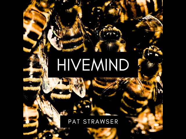 Inside Pat Strawser's Hivemind