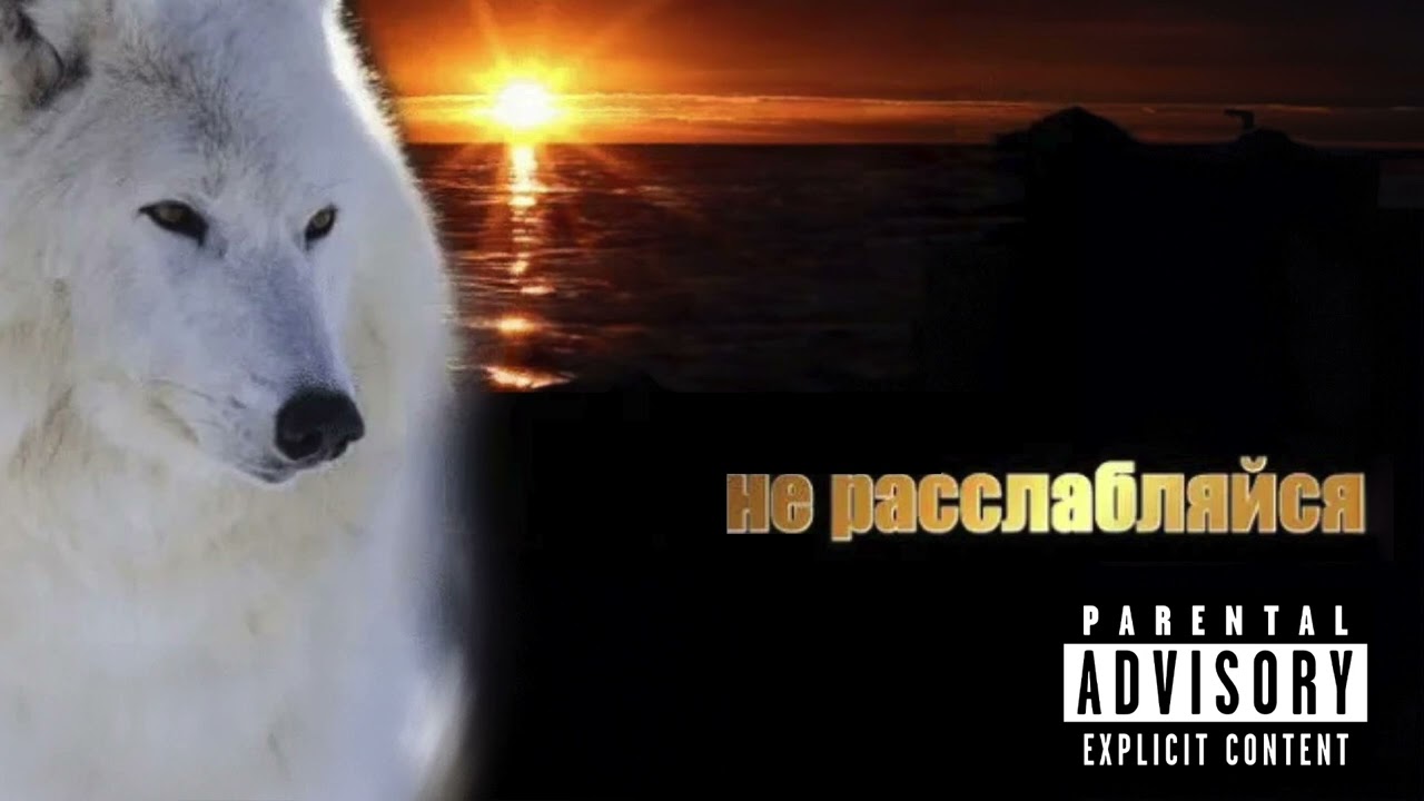 Ver Скриптонит - не расслабляйся [аудио 2024] no YouTube