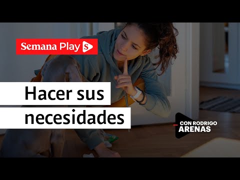 Entrenar a un perro para hacer sus necesidades | Rodrigo Arenas
