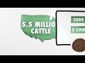 Cool Video:  Hidden Cost of Big Macs